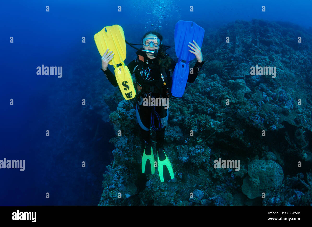 Femmina subacqueo con una barriera corallina, Mar Rosso, Egitto, Africa Foto Stock