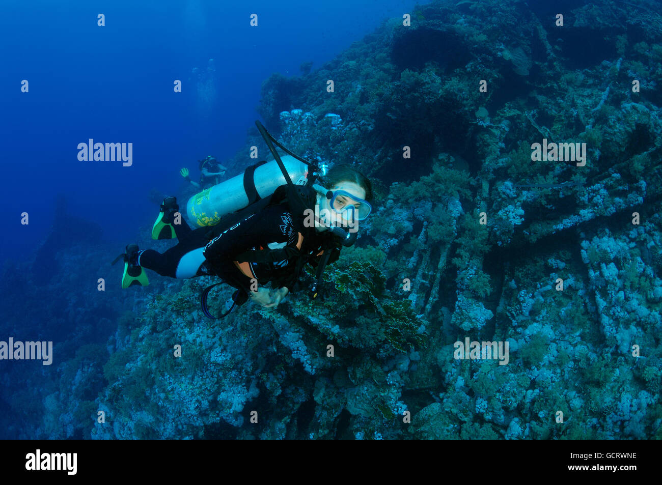 Femmina subacqueo con una barriera corallina, Mar Rosso, Egitto, Africa Foto Stock