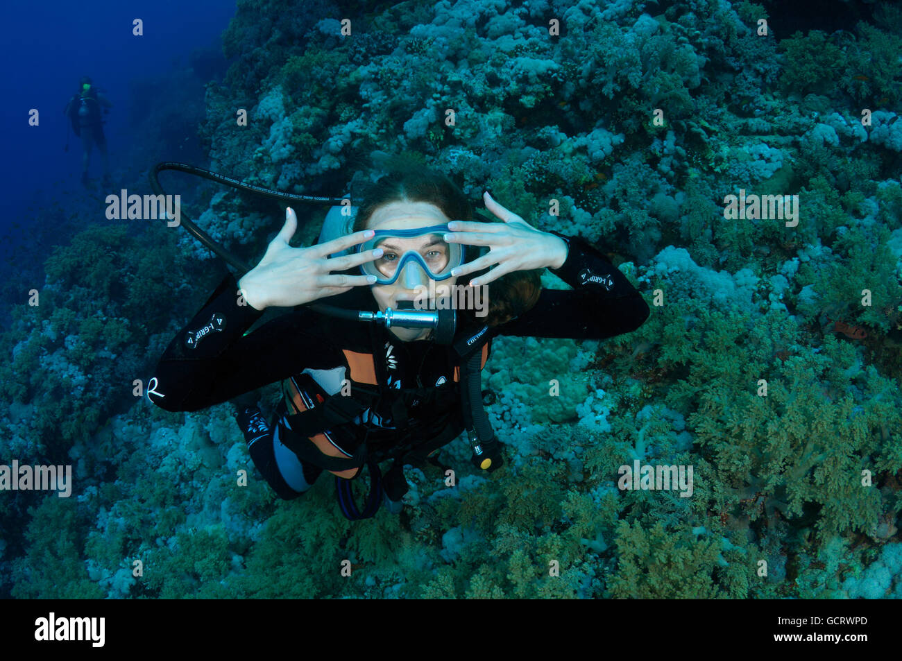 Femmina subacqueo con una barriera corallina, Mar Rosso, Egitto, Africa Foto Stock
