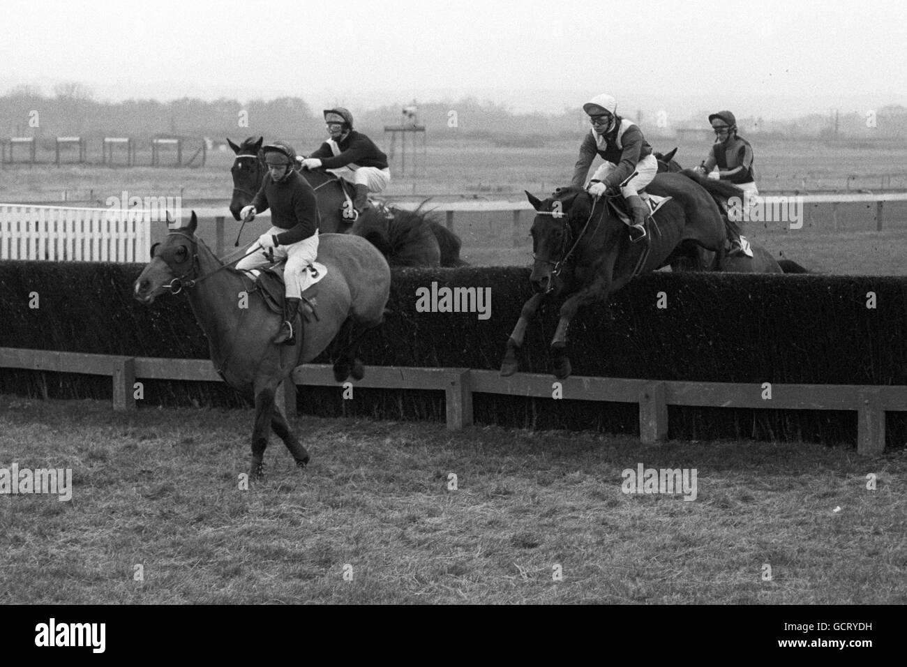 Corse ippiche - Hungerford Chase - Ippodromo di Newbury. Kareol (3), Bill Shoemaker up, che porta oltre la prima recinzione dal vincitore Roman Holiday (4), Jeff King up. Foto Stock