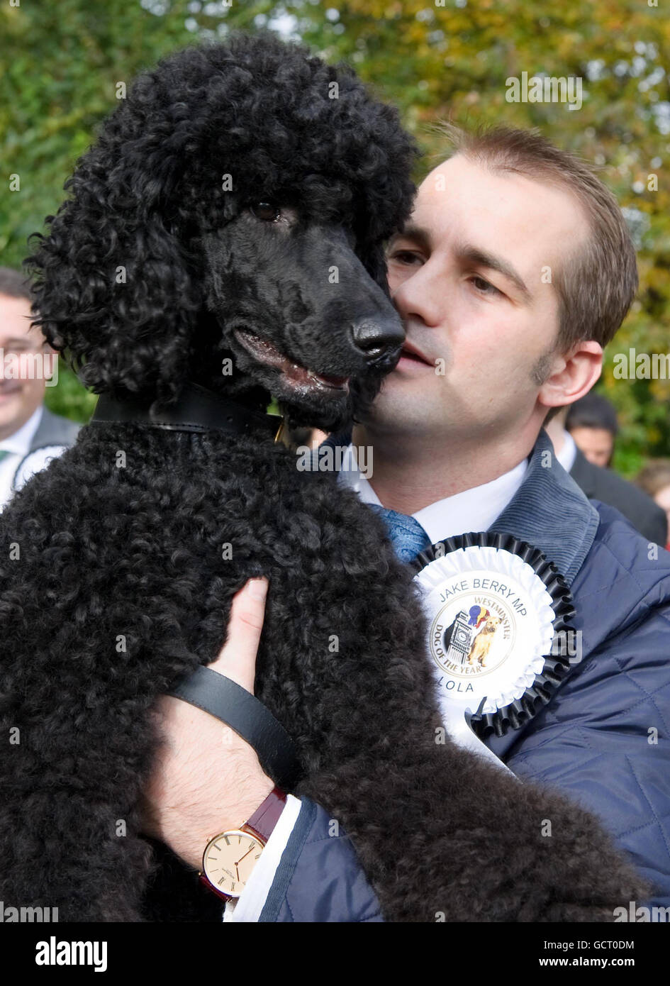 Lola, il poodle standard di 1 anno che appartiene a Jake Berry MP per Rossendale e Darwen, si aggiudica il secondo posto al 18° concorso Westminster Dog of the Year organizzato congiuntamente da Dogs Trust e dal Kennel Club, presso i Victoria Tower Gardens di Londra. Foto Stock