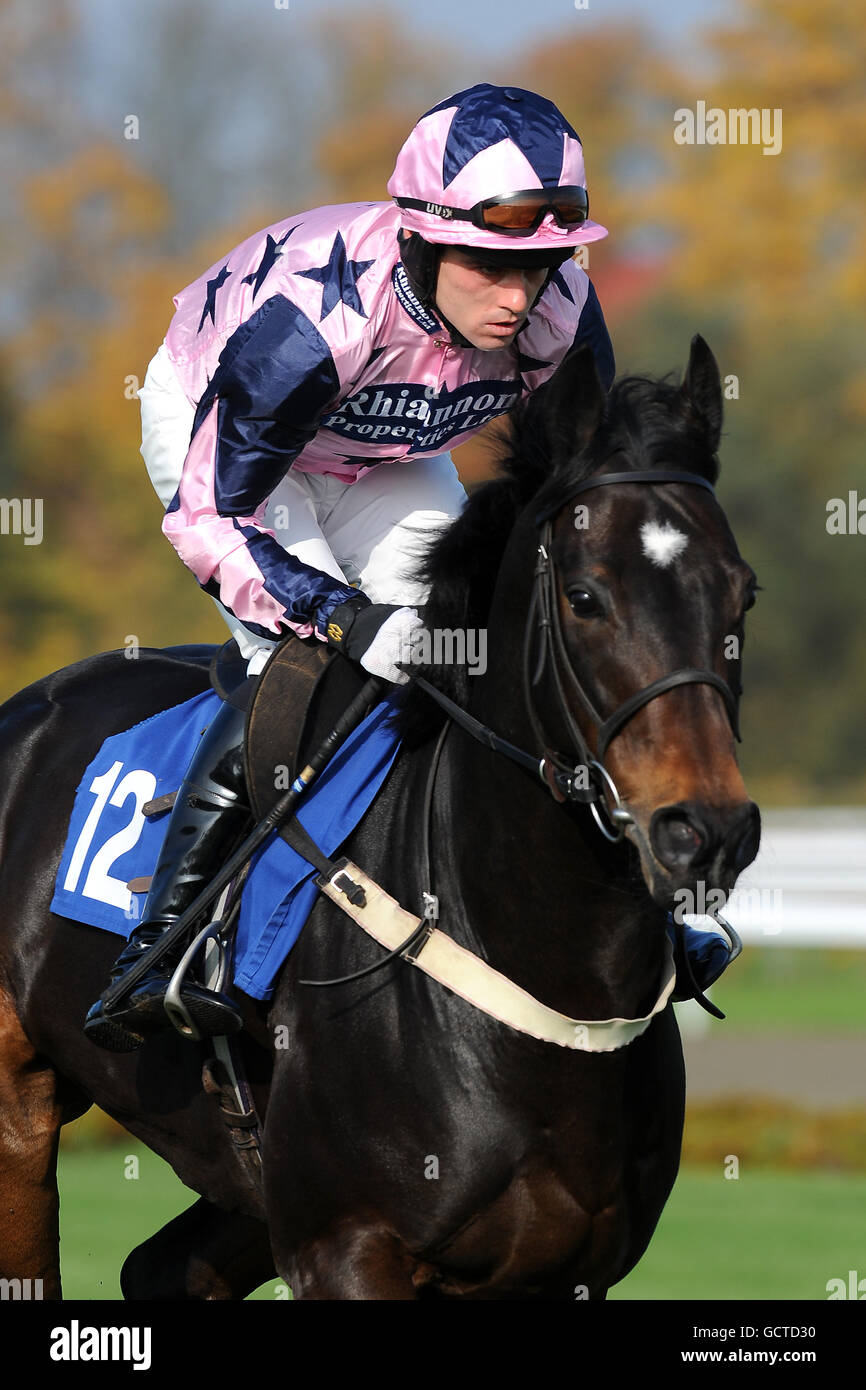 Horse Racing - Weatherbys vai incontro - Kempton Park Foto Stock