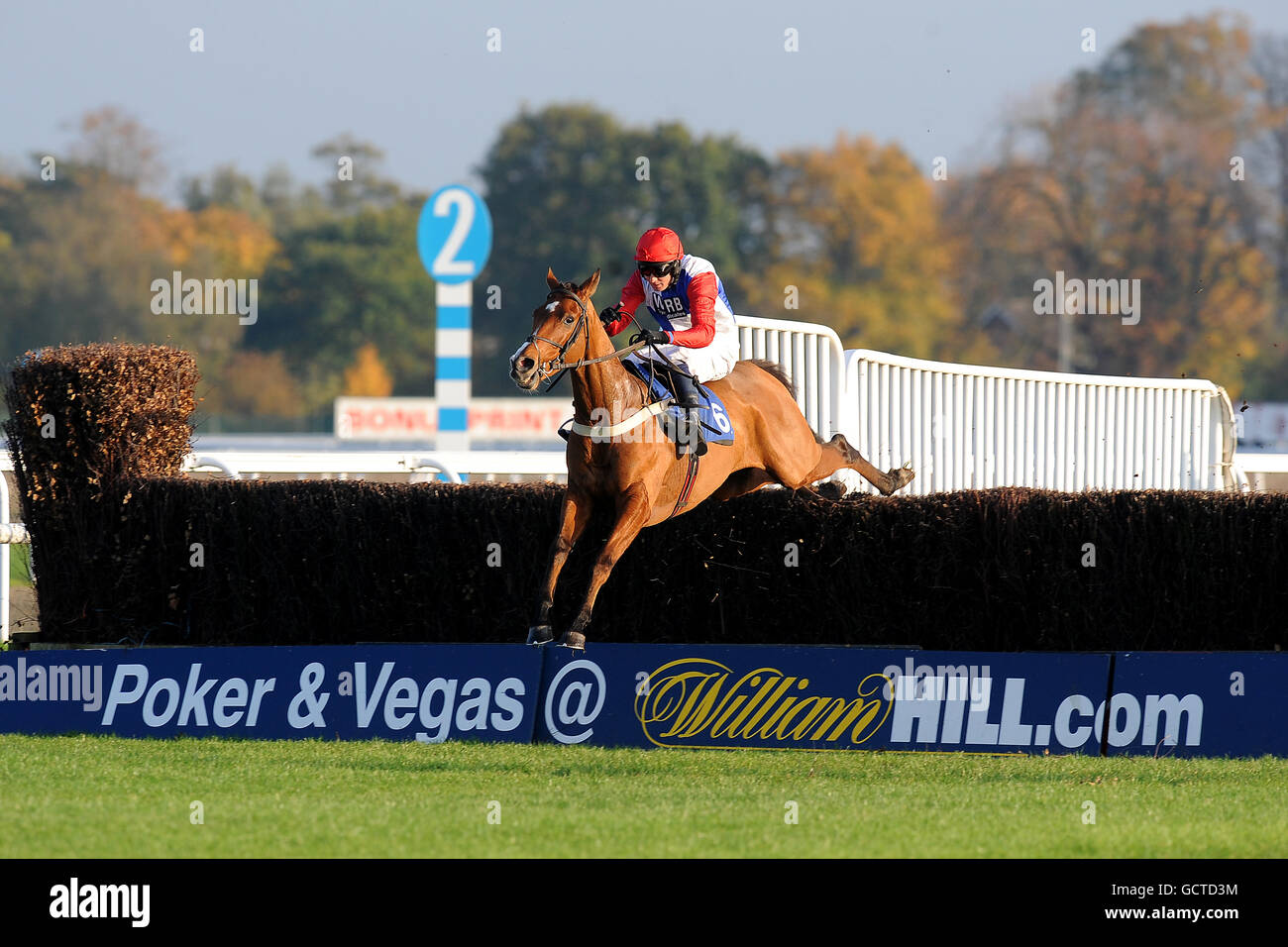 Corse ippiche - Weatherbys Jump Meeting - Kempton Park. Jockey Jamie Goldstein su Golan Way durante il Weatherbys Bloodstock Assurance Graduation Chase Foto Stock