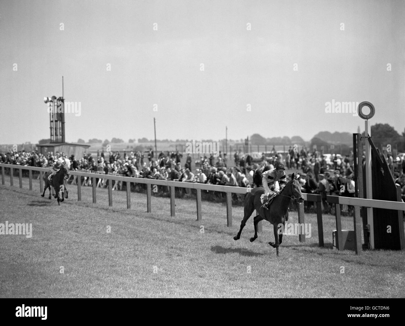 Corse di cavalli - la piastra handicap Hamilton - Ippodromo di Bath. Valerie Joy, no 1, Willie Carson up, vincendo da King of Scots, no 9, R McFarlane up, e Golden Raffle, no 8, Indovinato da P Gleed. Foto Stock