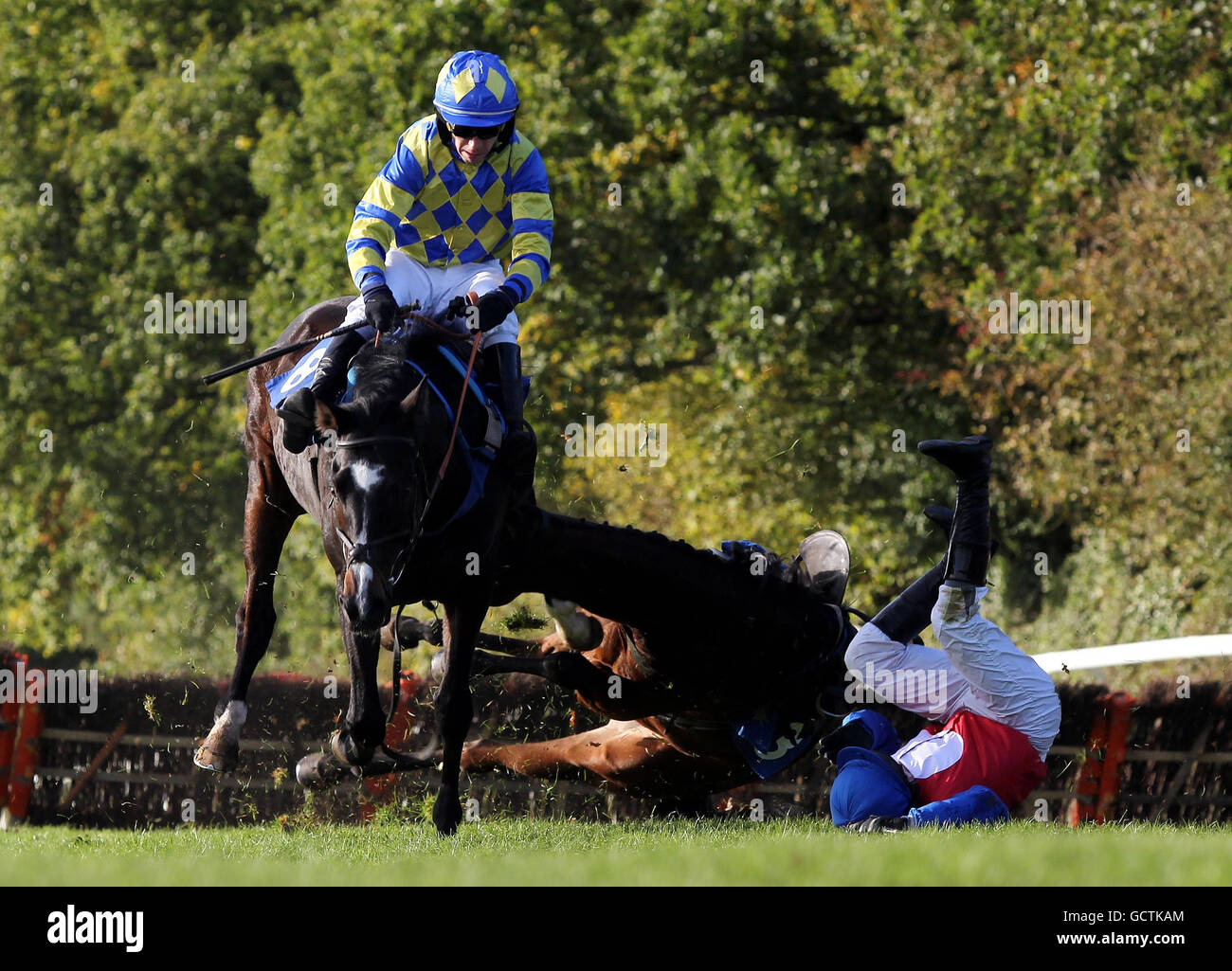 Phoenix Eye guidato da Leighton Aspell prende azione evasiva come Halling Gal e Paul Moloney è un faller nel Ludlow Racecourse supporta la corsa Welfare Handicap Huddle a Ludlow Racecourse, Ludlow. Foto Stock