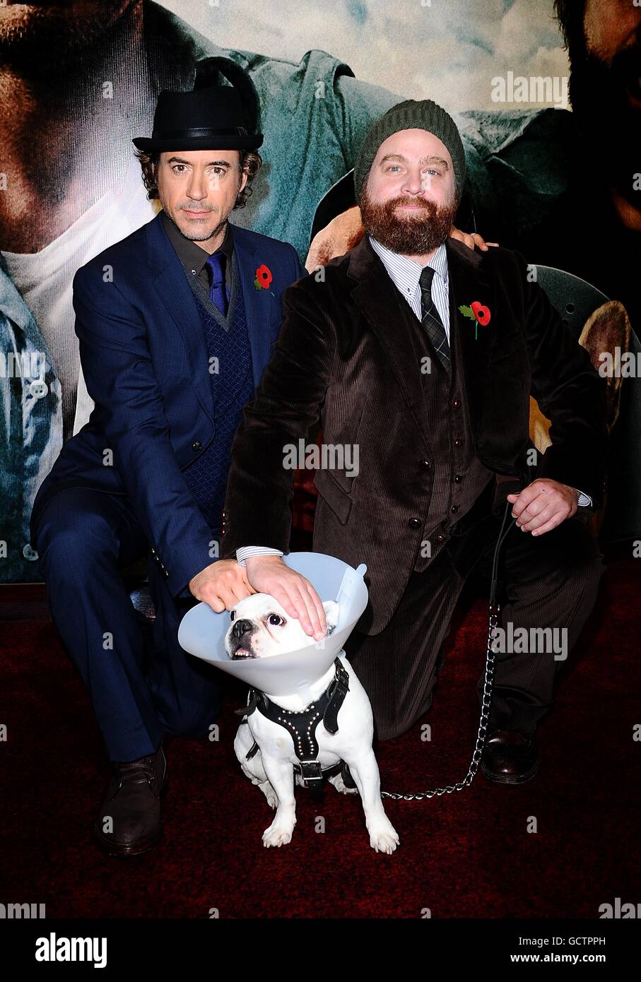 Robert Downey Jr. (A sinistra) e Zach Galifianakis (a destra) con Balu in arrivo per la prima europea della due Date all'Empire, Leicester Square, Londra. Foto Stock