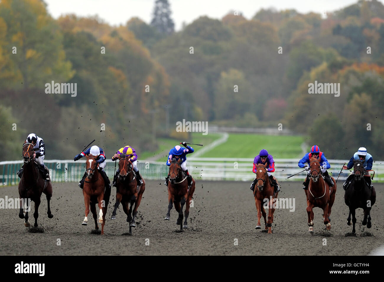 Azione dal E.B.F. In mostra al Whitsbury Manor Stud Maiden Stakes Foto Stock