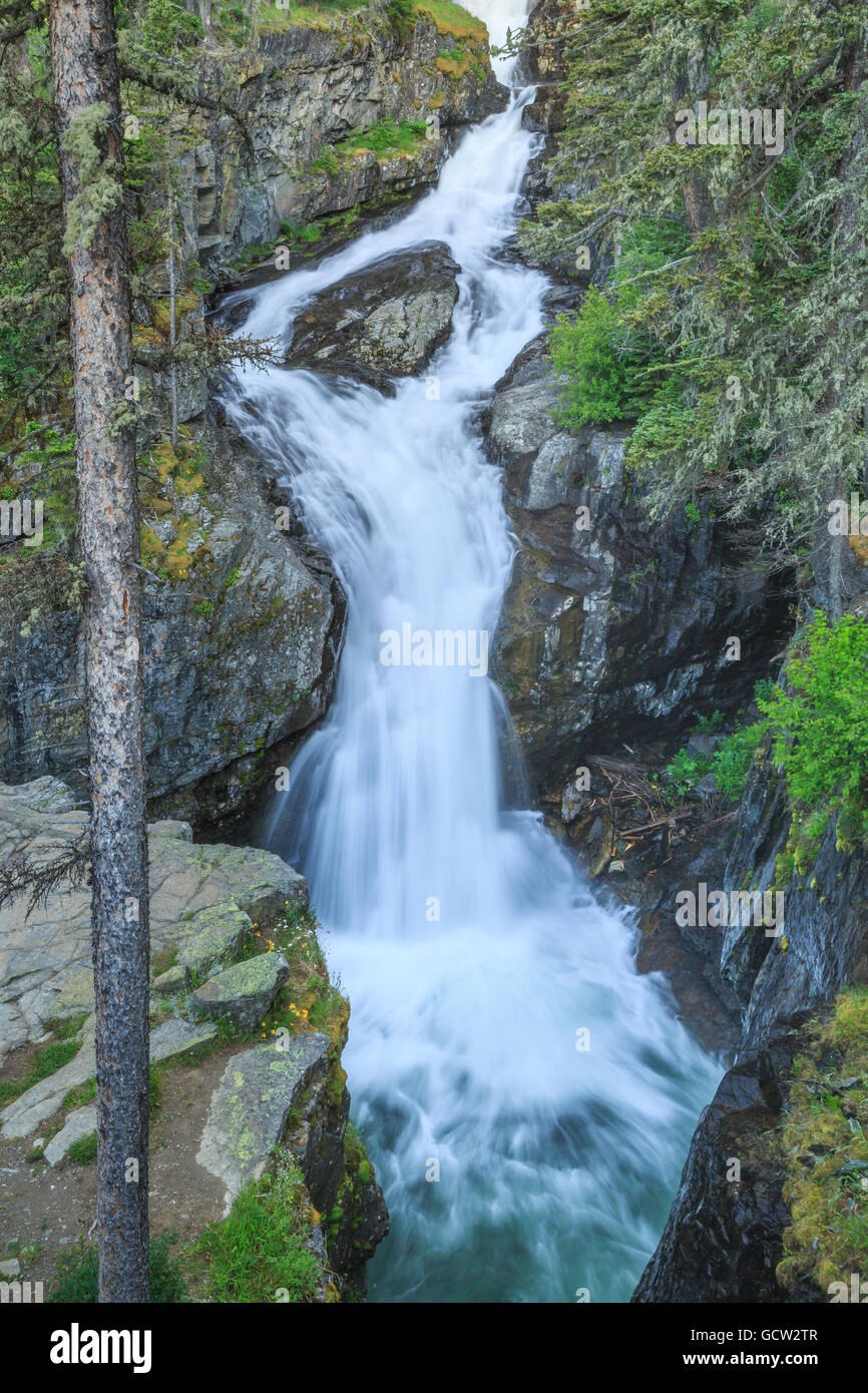 Big Timber Creek Falls in pazza montagna vicino melville, montana Foto Stock