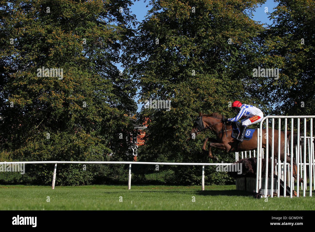 Corse di cavalli - circuito di Worcester. Lucy's perfetto guidato da Tom Scudamore durante le feste natalizie del Libro al Worcester Racecourse Mares 'Novices' Hurdle Race Foto Stock