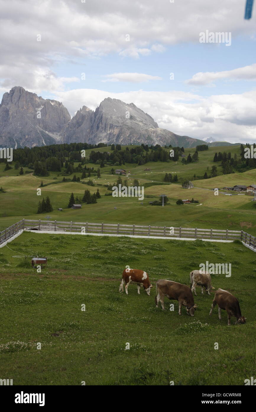 Alpe di Siusi panorama Foto Stock