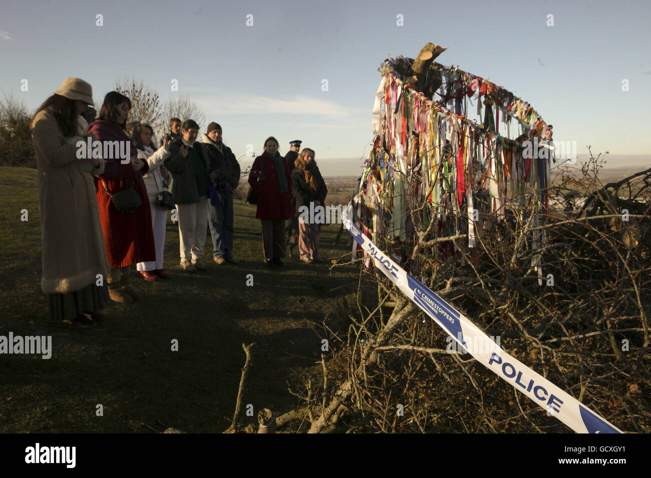 Il vandalizzato Glastonbury Holy Thorn Tree - famoso per il suo legame con San Giuseppe d'Arimatea - che è stato violato e ridotto a un solo moncone. Foto Stock