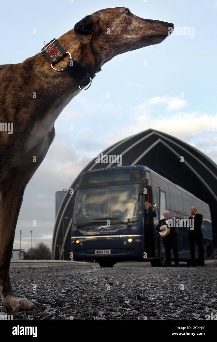 L'amministratore delegato Alex Warner lancia il famoso marchio di autobus Greyhound fuori dall'Armadillo di Glasgow, Scozia. Foto Stock