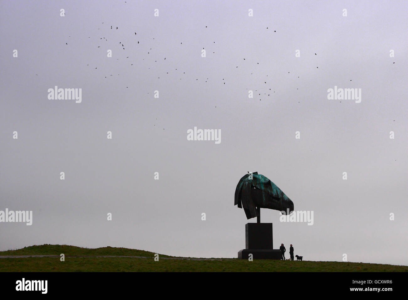 Artemis, una scultura alta circa 35 metri della testa di un cavallo dello scultore NIC Fiddian-Green si trova sulla cima della collina Trundle a Goodwood, West Sussex, dove rimarrà per sei mesi. L'artista spera che diventi una caratteristica permanente sulle Downs del Sussex. Foto Stock