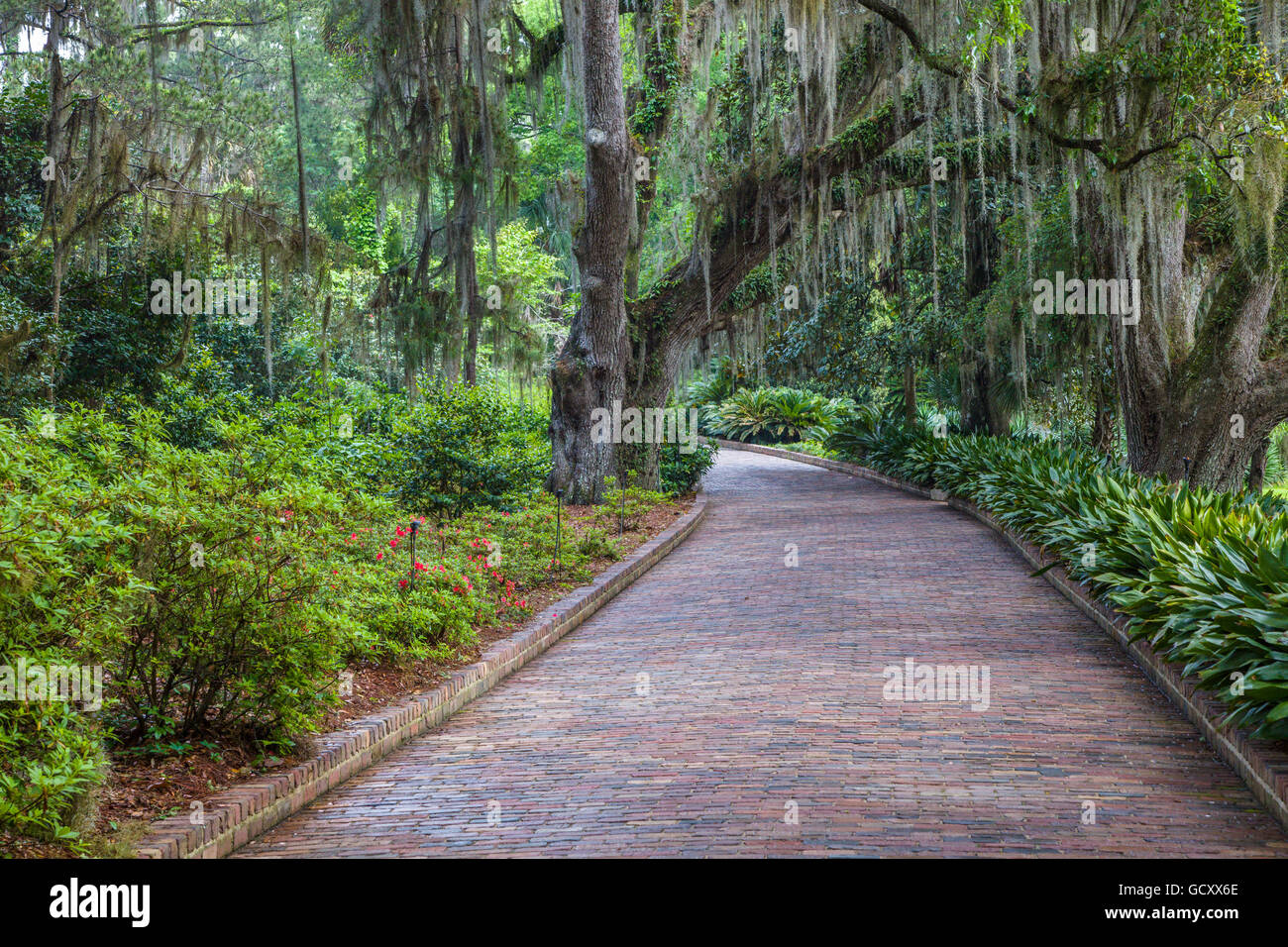 Alfred B. Maclay Gardens parco dello stato degli Stati Uniti di un quartiere storico noto come a Killearn Plantation archeologico e storico quartiere Foto Stock