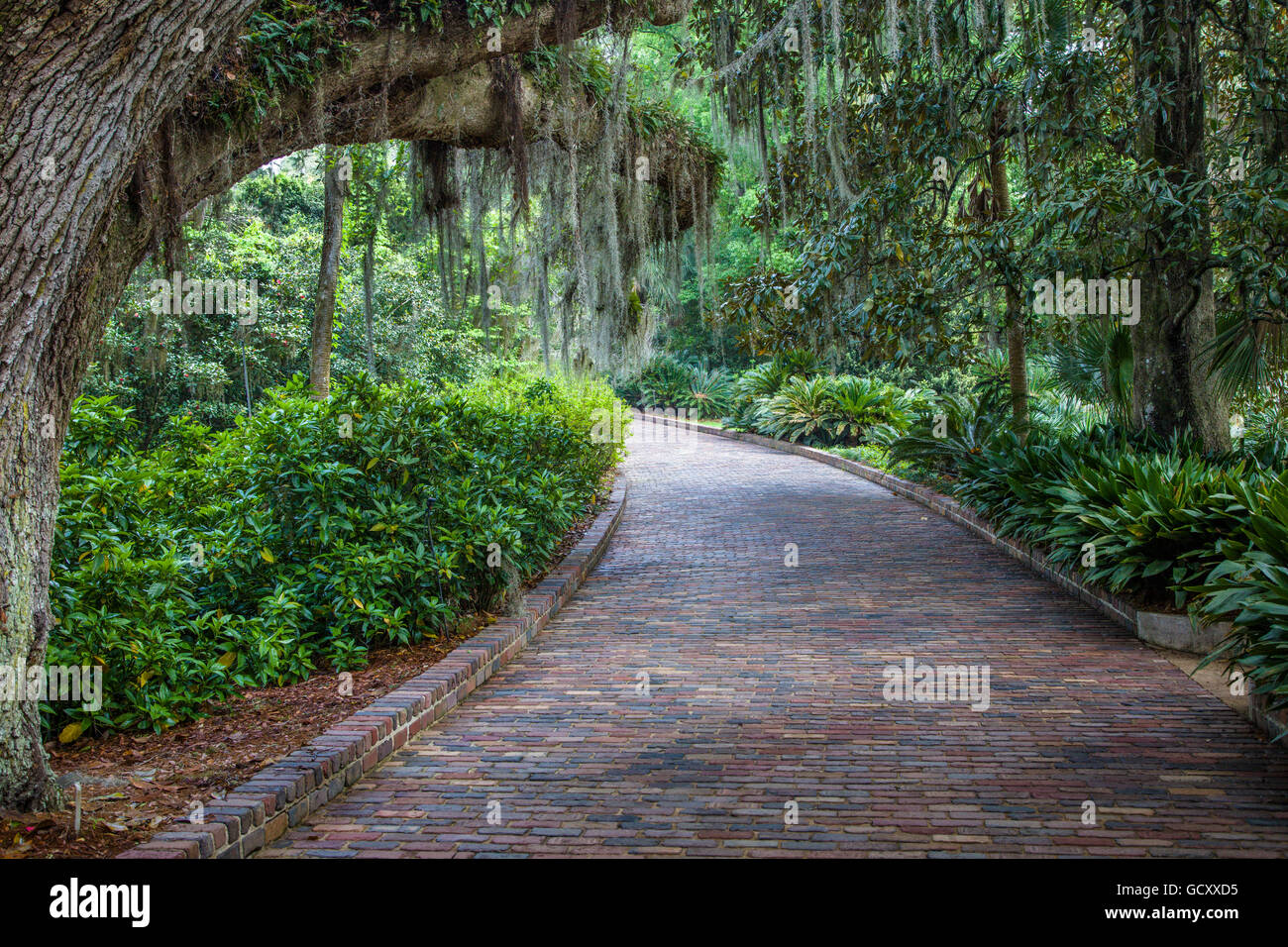 Alfred B. Maclay Gardens parco dello stato degli Stati Uniti di un quartiere storico noto come a Killearn Plantation archeologico e storico quartiere Foto Stock