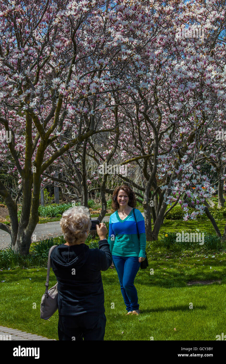 Le persone sotto magnolie in fiore nel giardino che circonda l'Showhouse floreale in Niagara Falls Ontario Canada Foto Stock