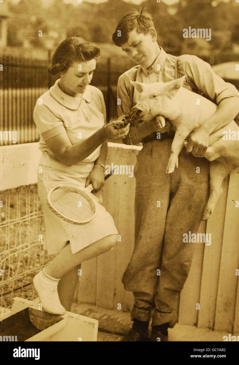 Il tennista Marie Bompas con Nora Gordon Cleather (Segretario del Club) che alimenta i maiali in penna, presso la fattoria istituita al Wimbledon Tennis Club per aiutare gli sforzi di guerra. Foto Stock