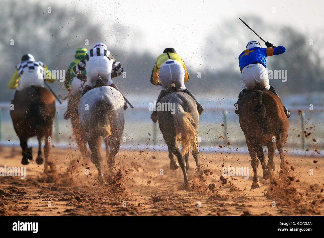 Azione dalle vittorie più grandi con SP+ a totesport.com Standard Aprire NH Flat Race Foto Stock