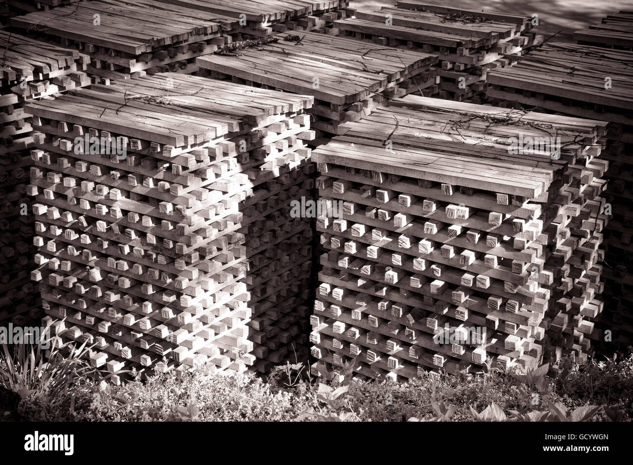 Dettaglio chiudere fino di cataste di legno di acero ricks per combustione lenta per produrre carbone di legna Foto Stock