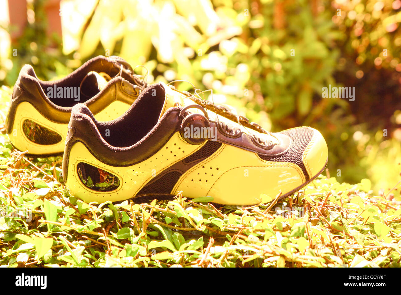 La scarpa gialla permanente sulla pianta, bella scarpa sulla natura ancora sfondo. Foto Stock