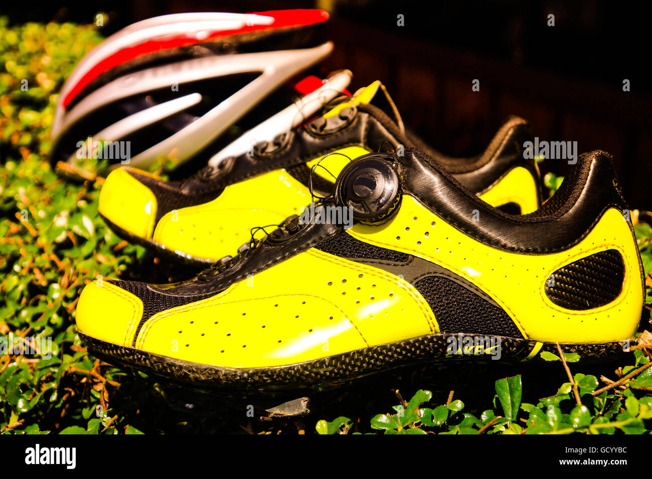 La scarpa gialla permanente sulla pianta, bella scarpa sulla natura ancora sfondo. Foto Stock
