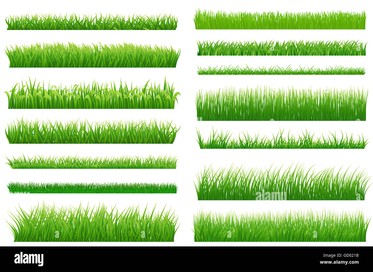 Set di molla verde erba bordi orizzontali. Verde erba raccolta su sfondo bianco per il vostro design Foto Stock