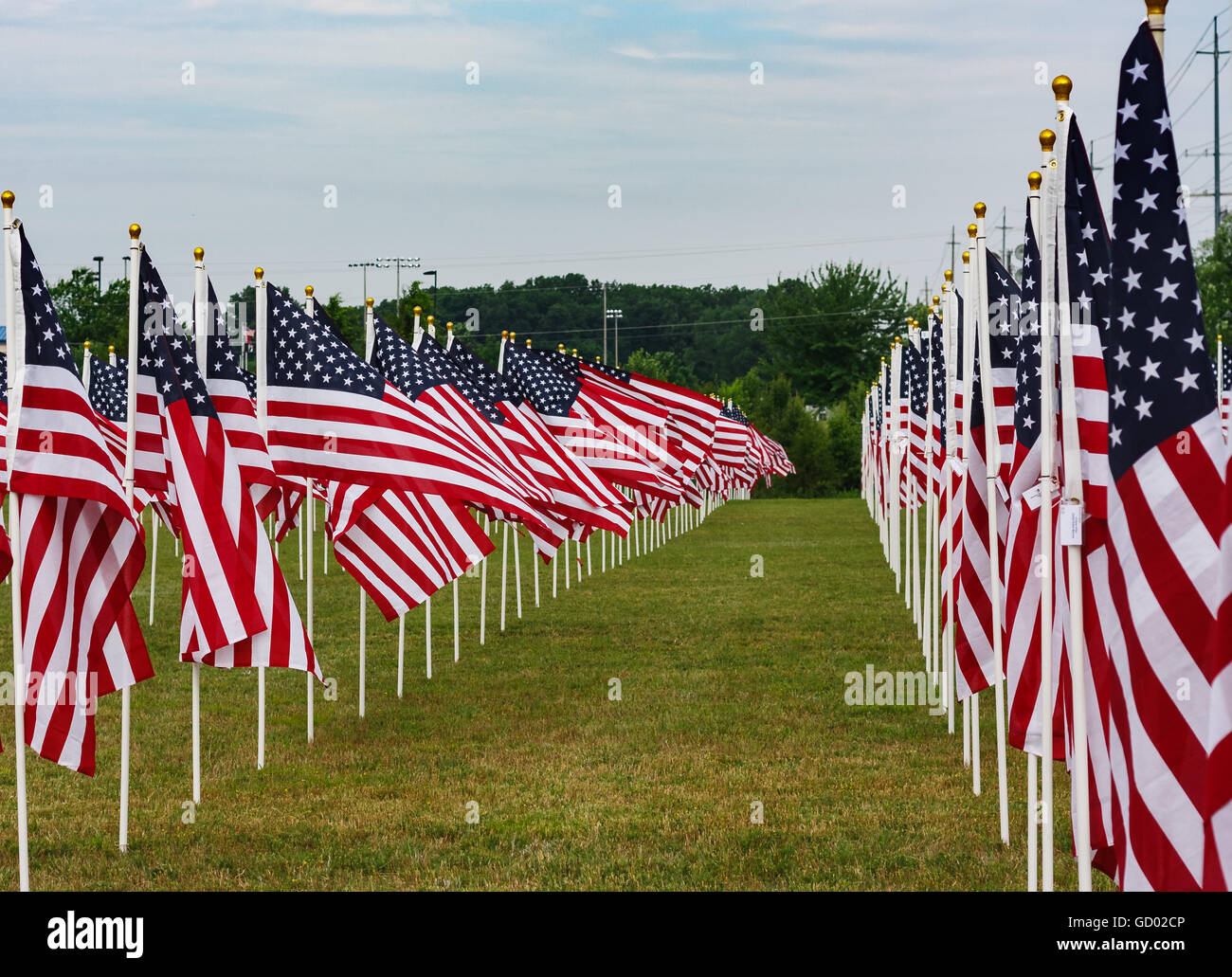 Il Memorial Day - Il campo delle Bandiere Foto Stock