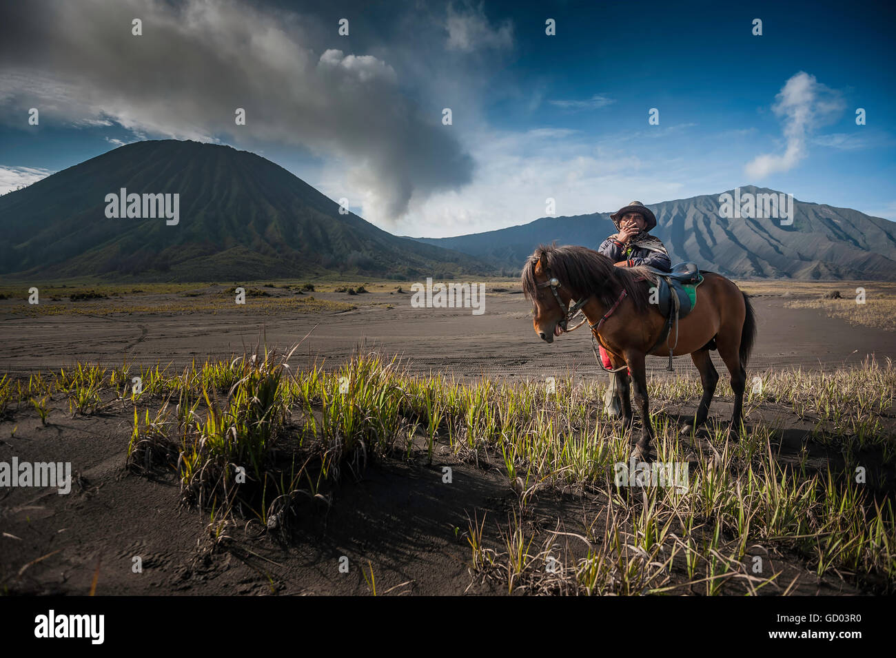 Uomo a cavallo in Monte Bromo, Foto Stock