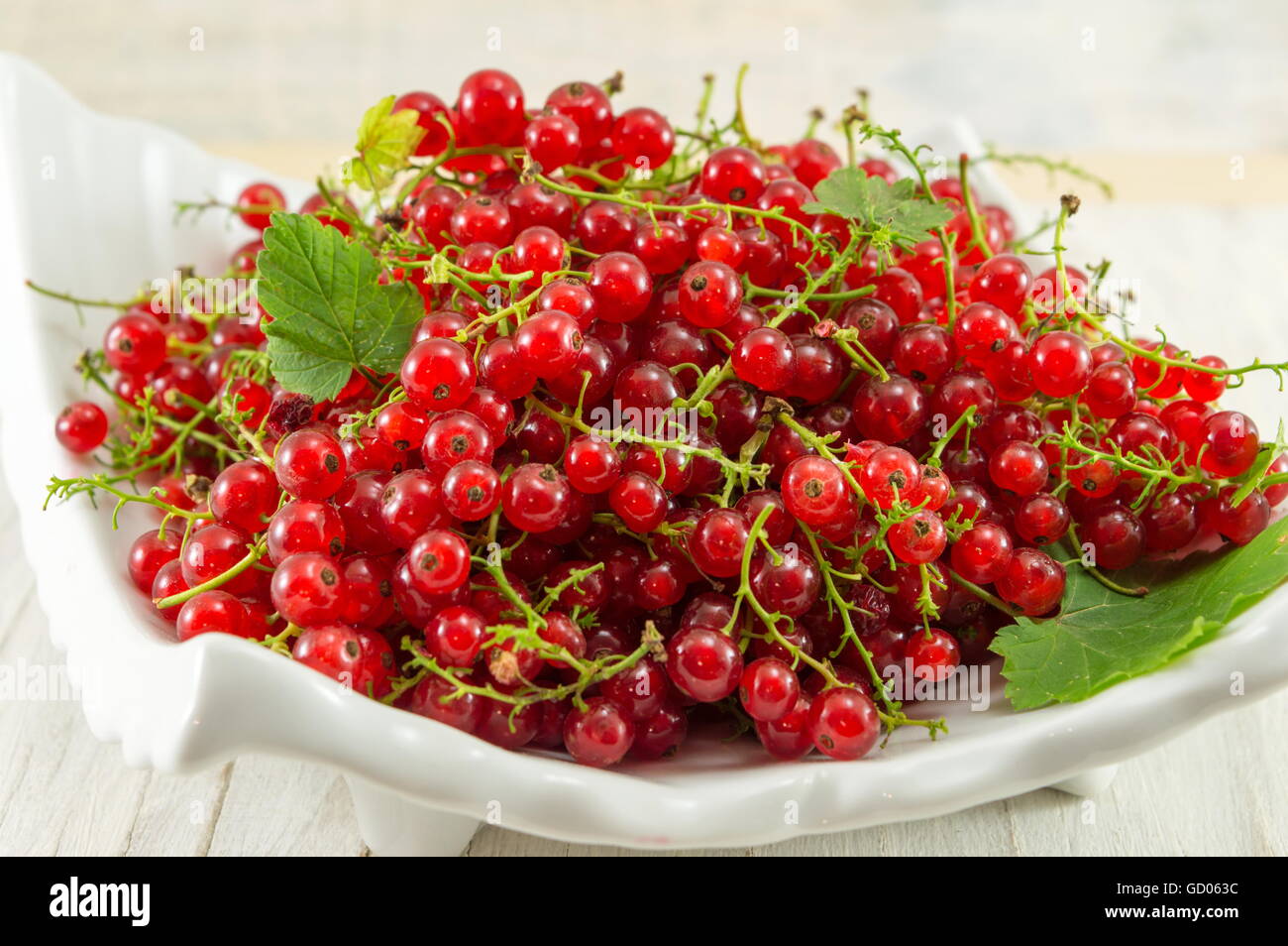 Ribes fresco frutta rossa su una piastra bianca Foto Stock