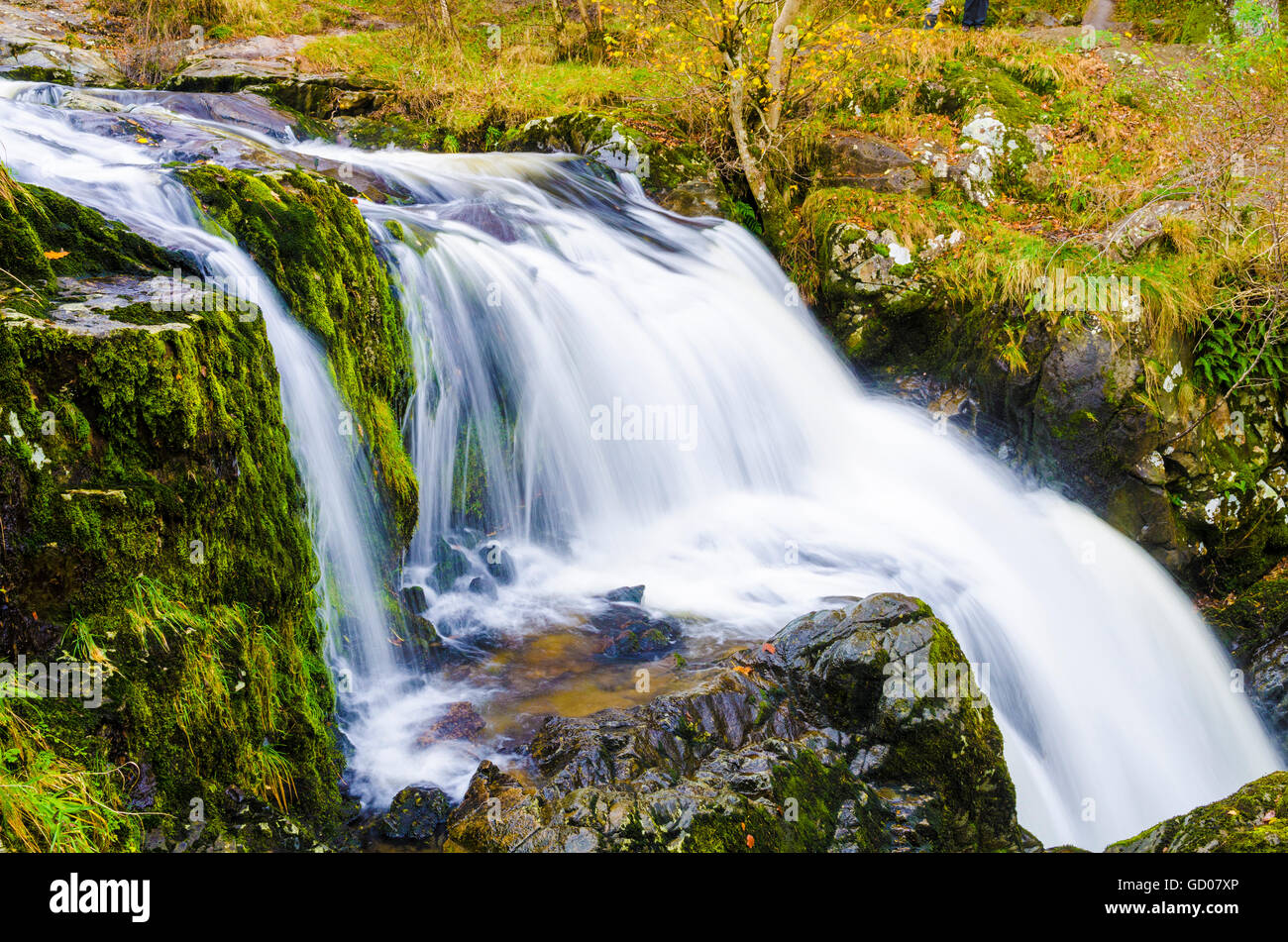 Forza elevata in cascata su Aira Beck nel Parco Nazionale del Distretto dei Laghi, Cumbria, Inghilterra. Foto Stock