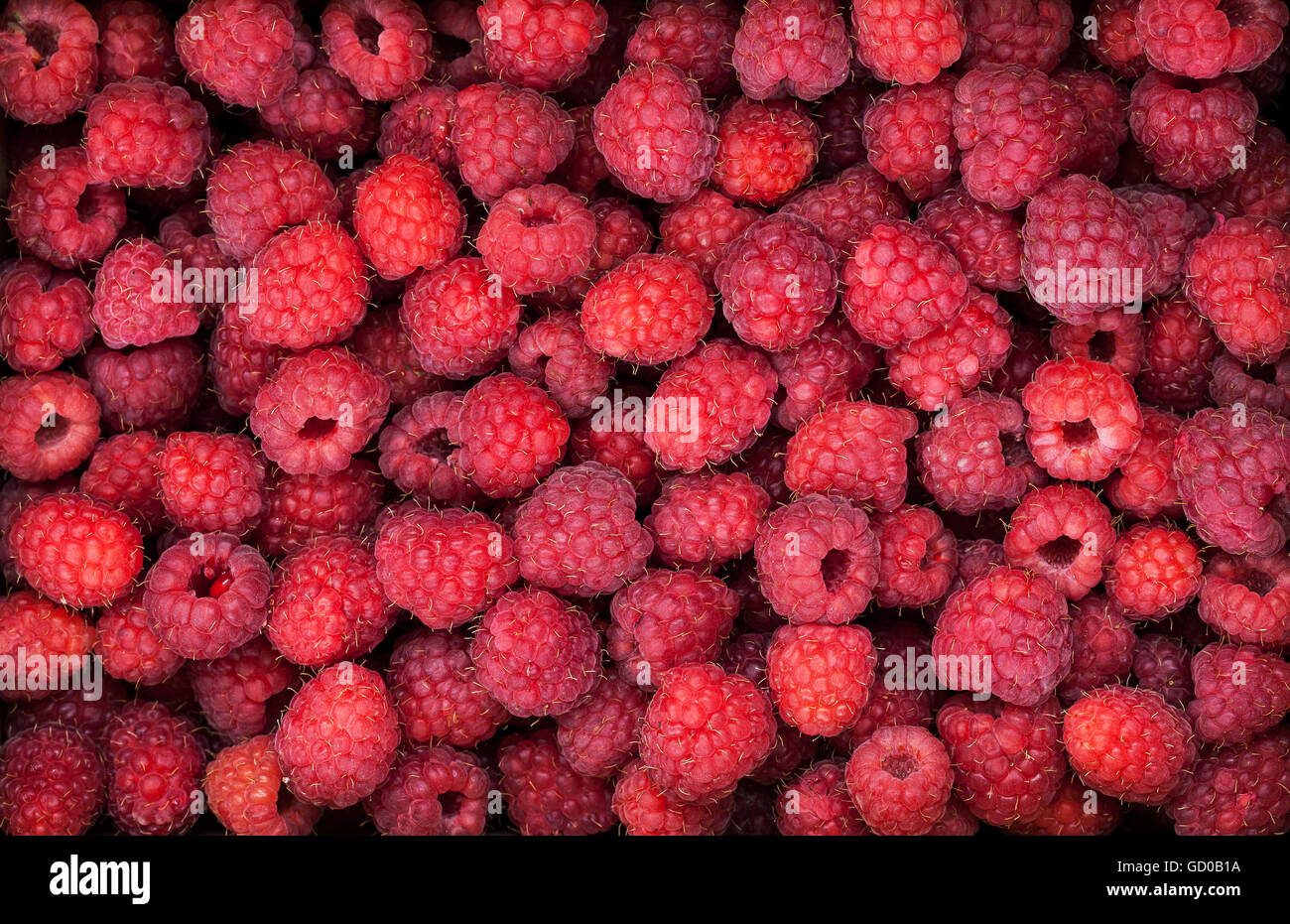 Fresche biologiche di lampone maturo come sfondo Foto Stock