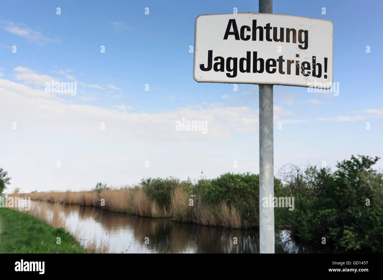 Purbach am Neusiedler See: segno "Attenzione operazione di caccia ! ', Canne del lago di Neusiedl, Austria, Burgenland, Foto Stock