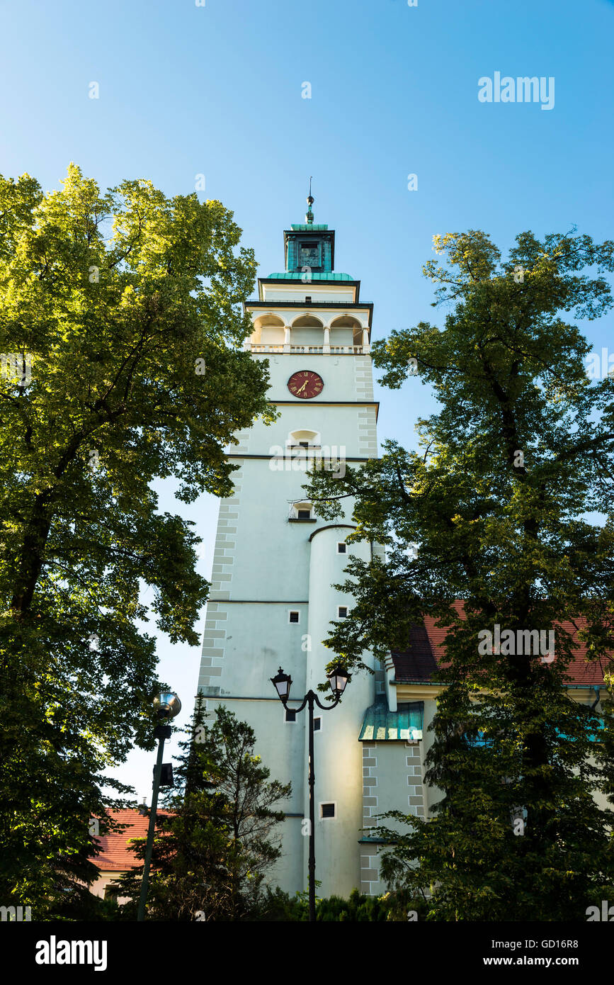 Żywiec, voivodato di Slesia, Polonia, Europa Foto Stock