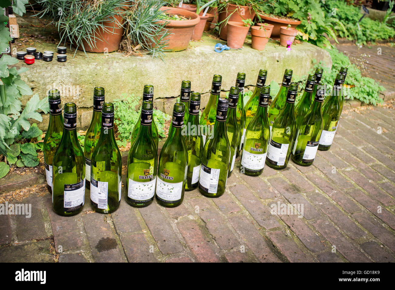 Svuotare le bottiglie di vino in un giardino Foto Stock