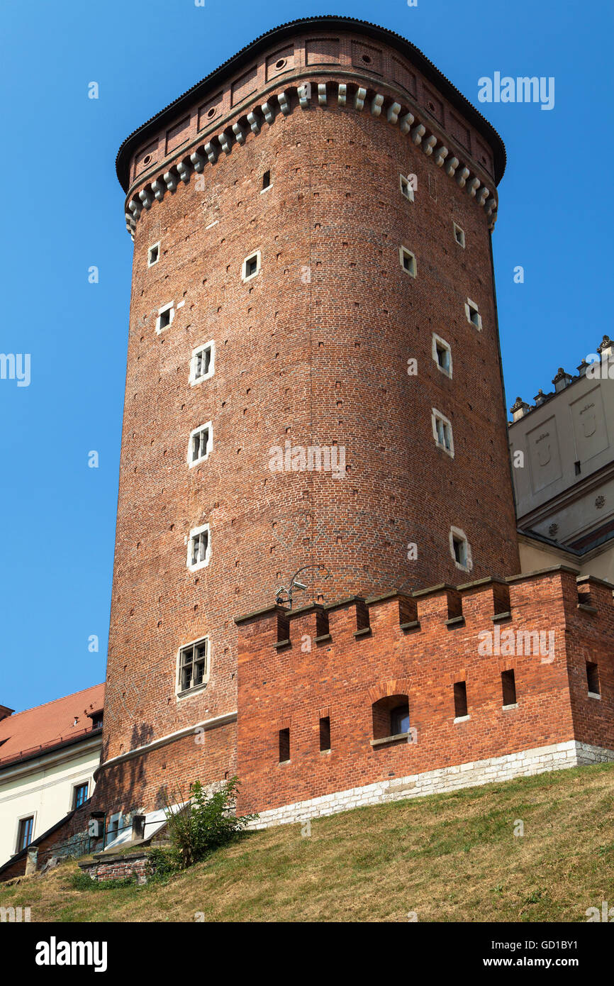 Il senatore Torre di il Castello Reale di Wawel, Cracovia in Polonia. Foto Stock