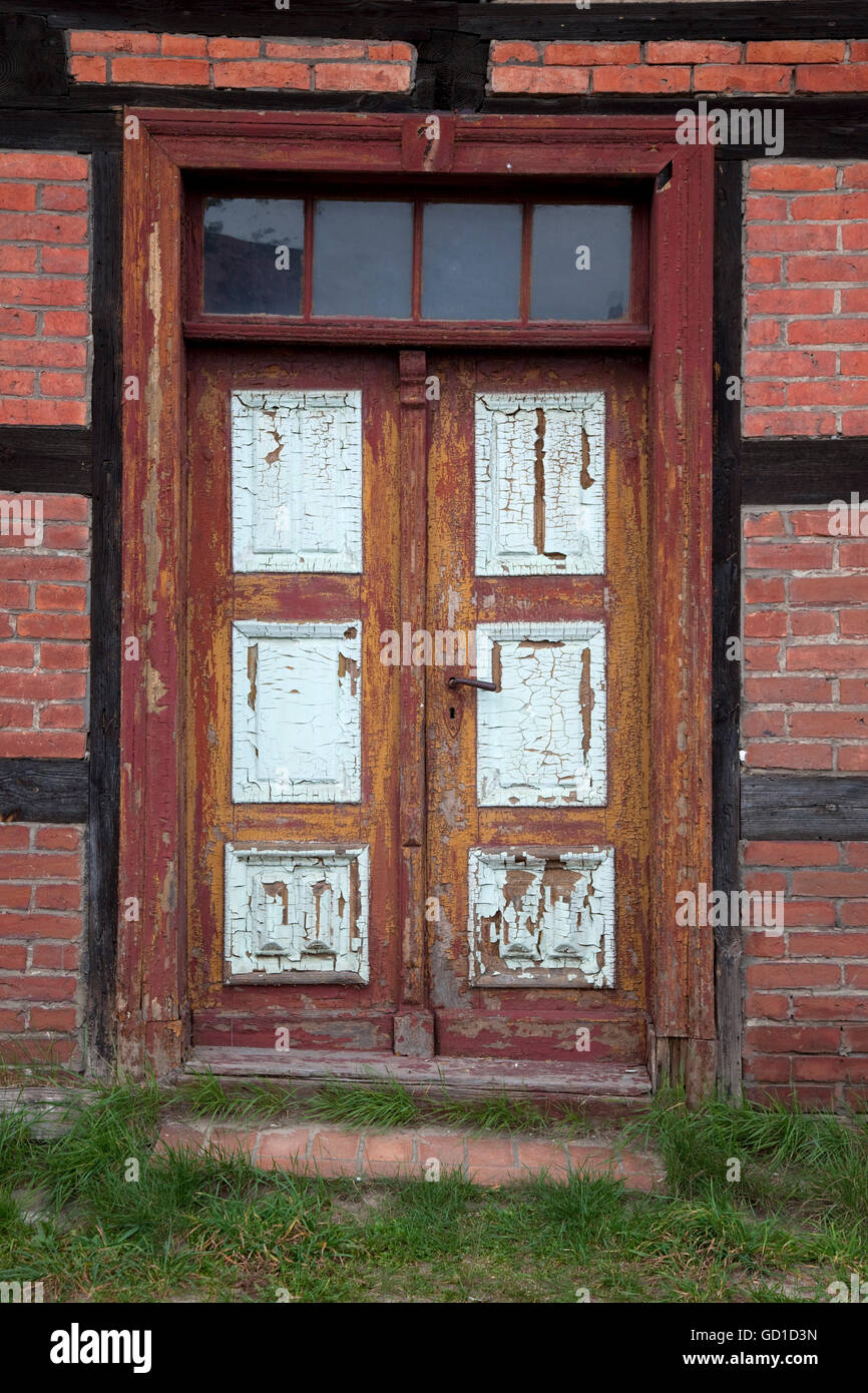 Sportello anteriore con la vernice si sfoglia dai, regione Spreewald, Brandenburg Foto Stock