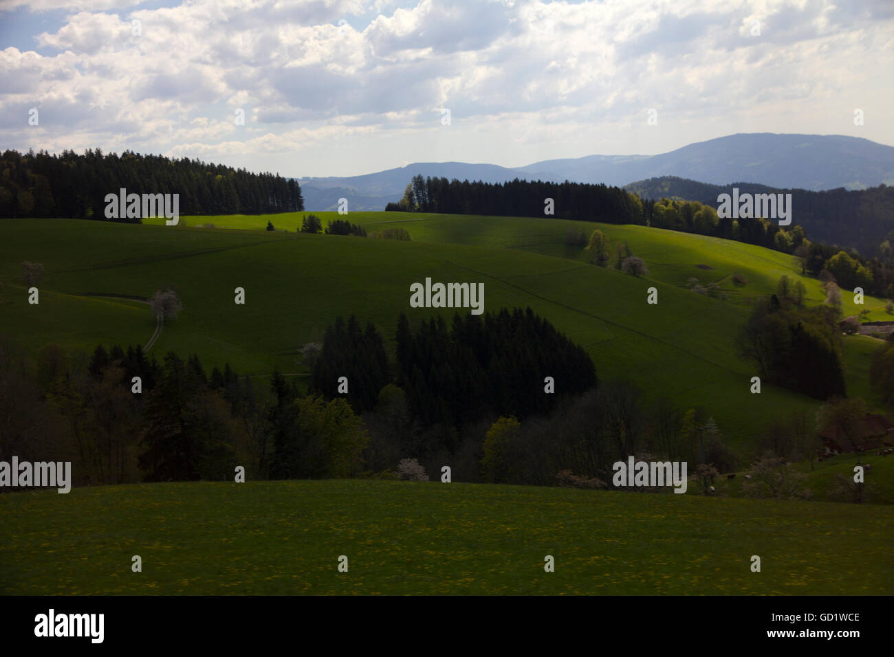 Fattorie rustico, boschi e le ondulate colline e valli che fanno di un eye-tour rilassanti della regione della Foresta Nera, a sud-ovest della Germania Foto Stock