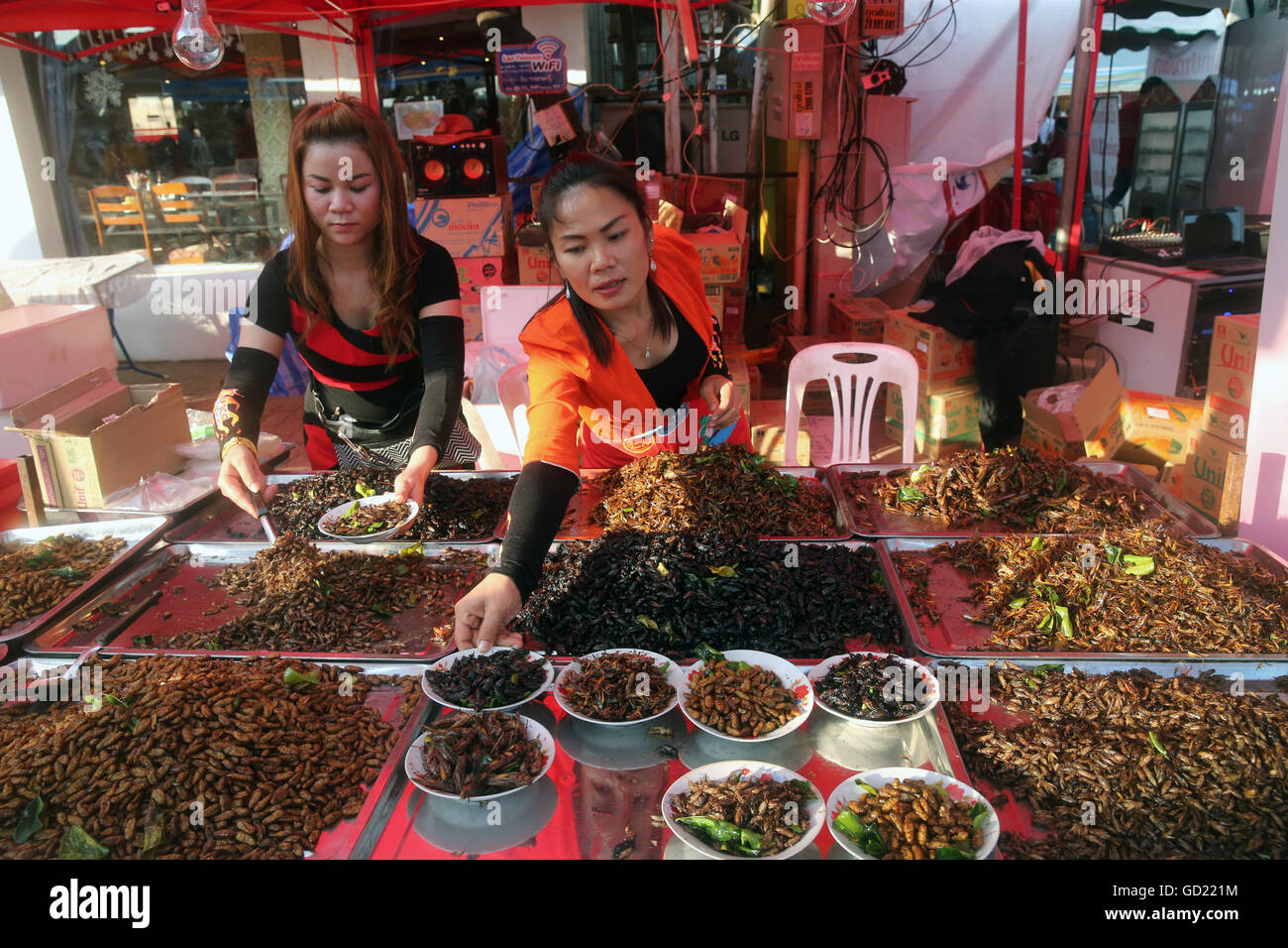 Visualizzazione di insetti fritti, Mercato alimentare, Vientiane, Laos, Indocina, Asia sud-orientale, Asia Foto Stock