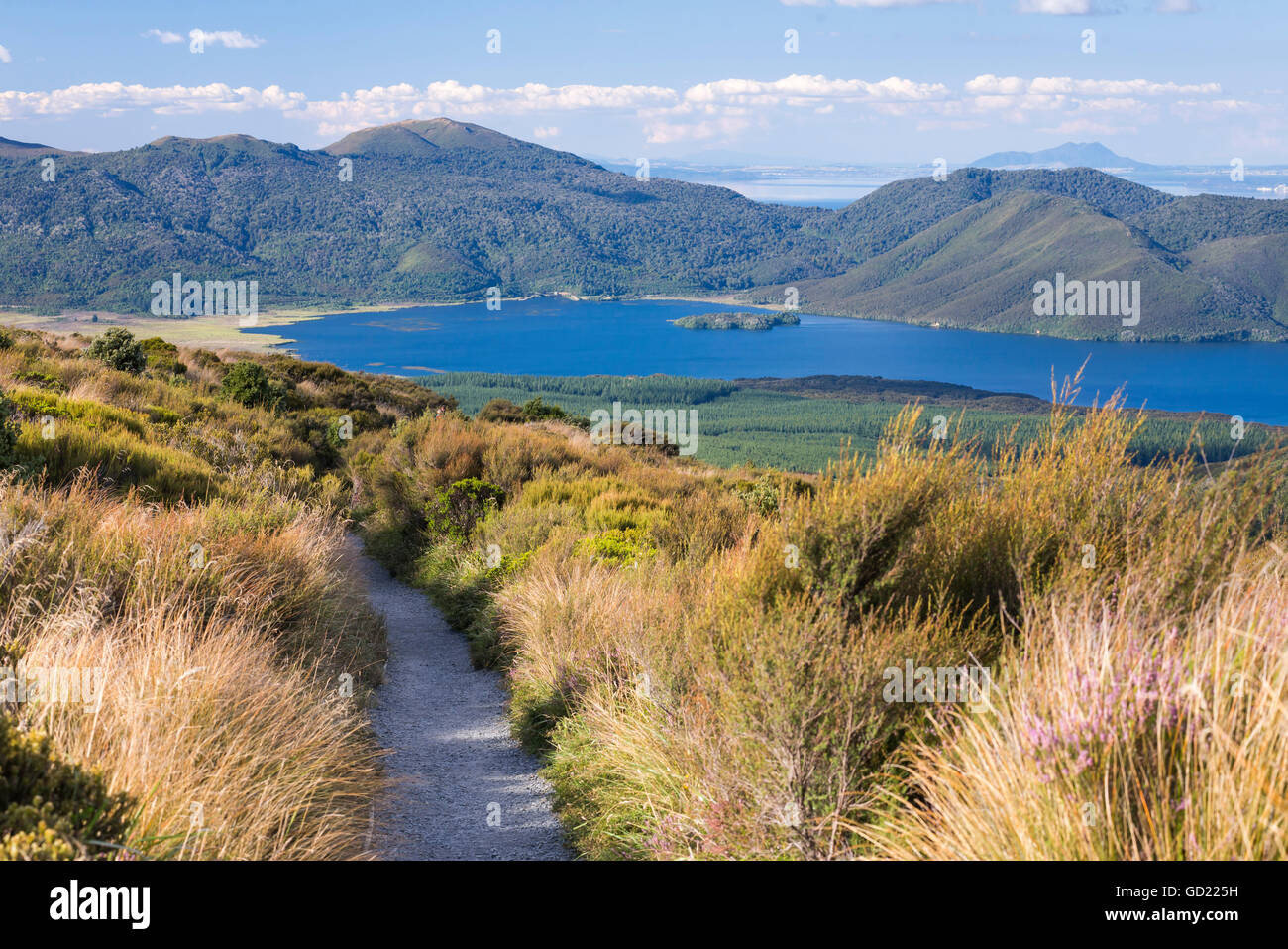 Lago Rotoaira visto sul Tongariro Alpine Crossing, parco nazionale di Tongariro, UNESCO, Isola del nord, Nuova Zelanda, Pacific Foto Stock