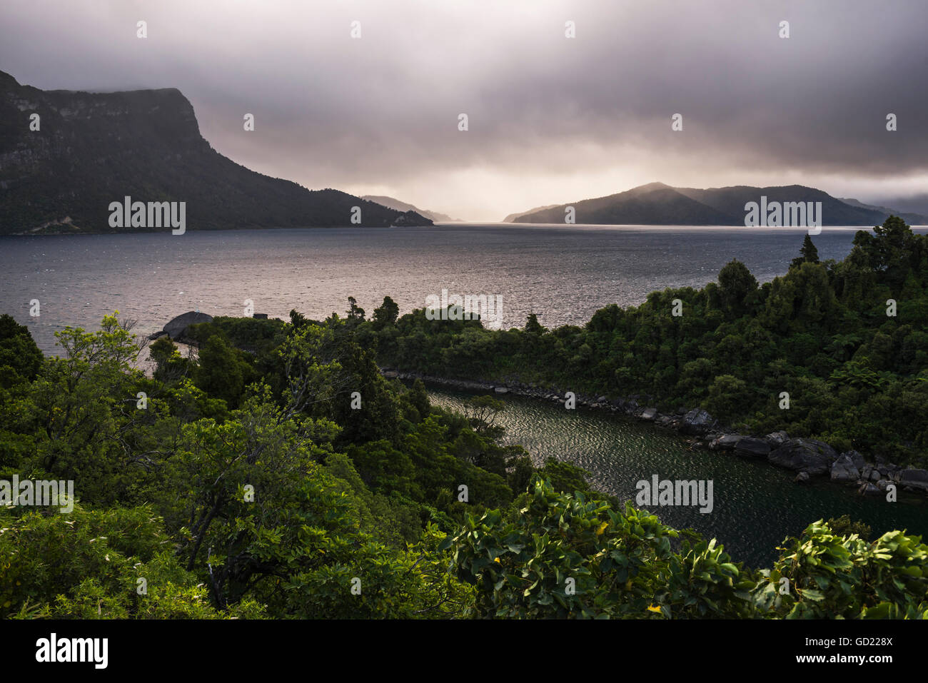 Lago Waikaremoana, Te Urewera, Eastland, Isola del nord, Nuova Zelanda, Pacific Foto Stock