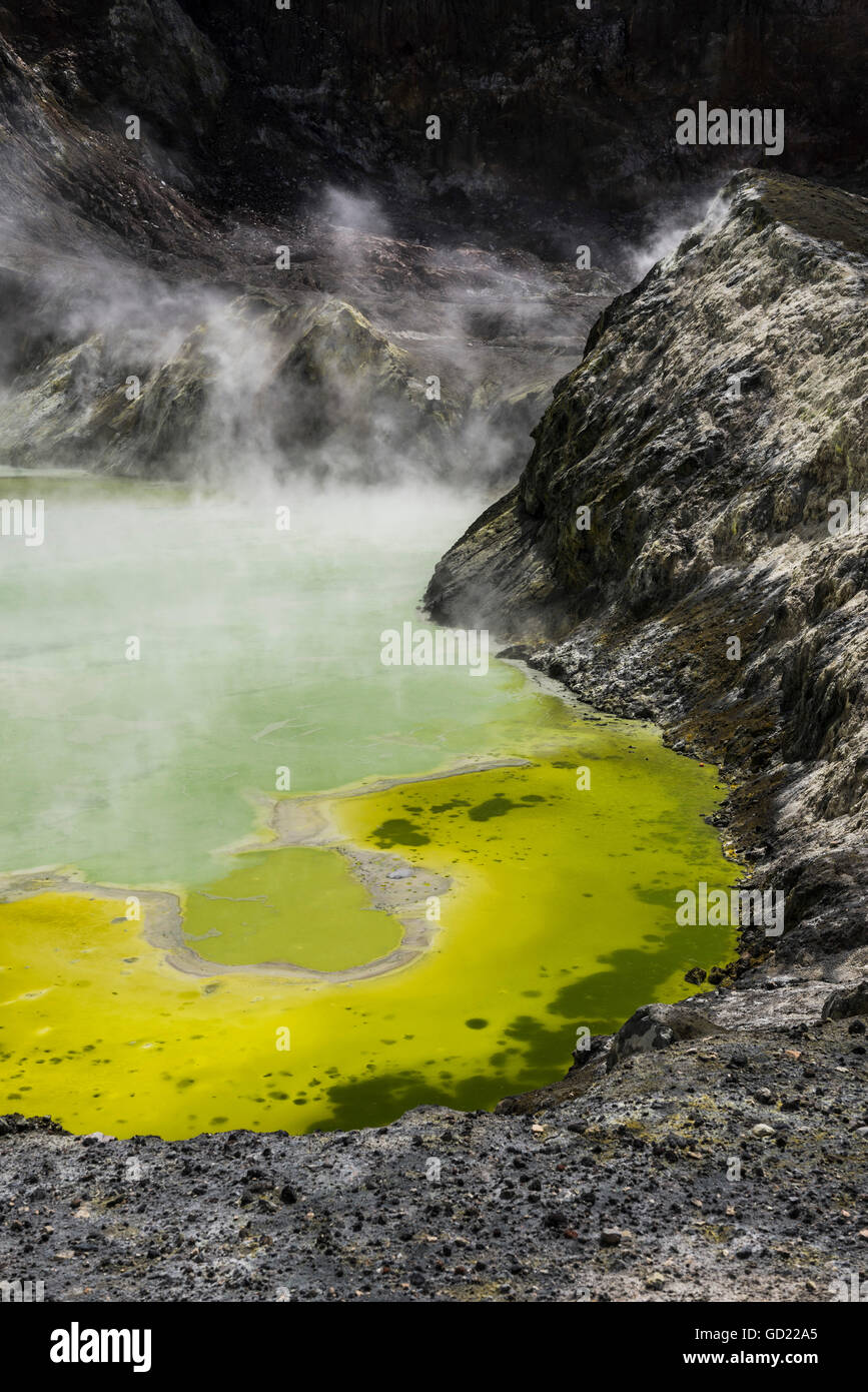 Acido lago del cratere, Isola Bianca vulcano, un vulcano attivo nella Baia di Planty, Isola del nord, Nuova Zelanda, Pacific Foto Stock