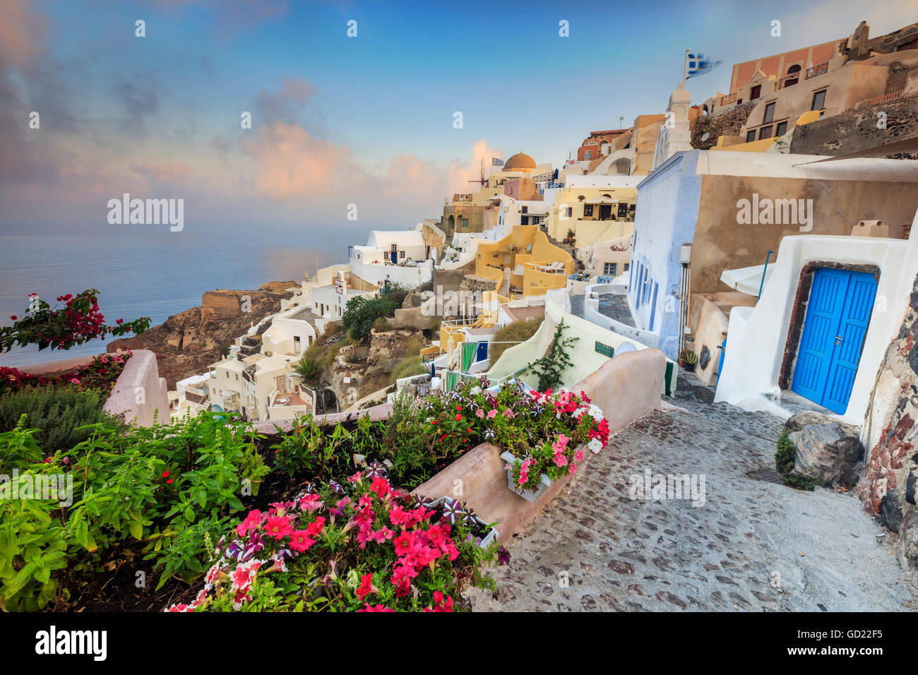 Fiori di bouganville e tipiche case sul Mare Egeo a sunrise, Oia - Santorini, Cicladi, isole greche, Grecia, Europa Foto Stock