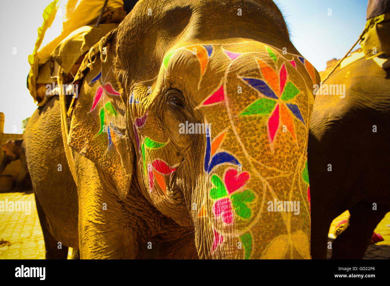 Dipinto di elefante, Amer Fort, a Jaipur, India, Asia Foto Stock