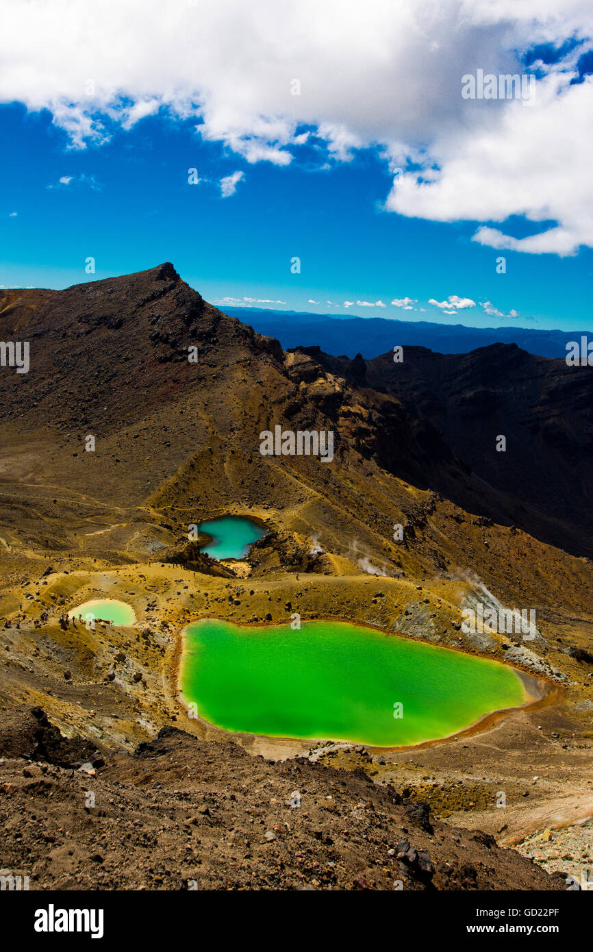 I laghi smeraldo, parco nazionale di Tongariro, Sito Patrimonio Mondiale dell'UNESCO, Isola del nord, Nuova Zelanda, Pacific Foto Stock