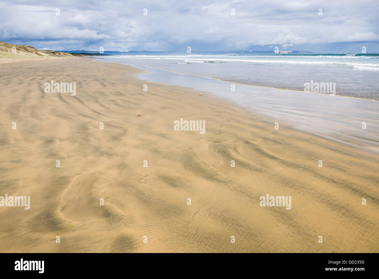 90 Mile Beach, Northland e North Island, Nuova Zelanda, Pacific Foto Stock