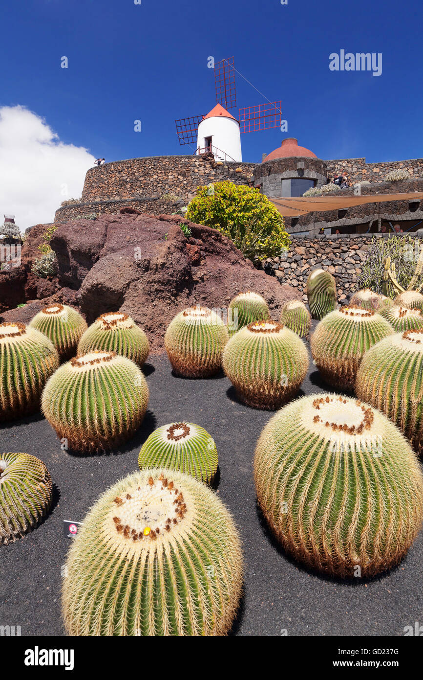 Il giardino dei Cactus Jardin de Cactus da Cesar Manrique, mulino a vento, Riserva della Biosfera dall'UNESCO, Guatiza, Lanzarote, Isole Canarie, Spagna Foto Stock