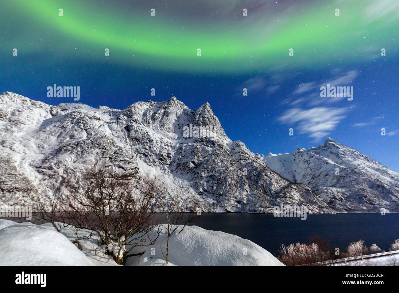 Luci del nord si illuminano le cime innevate e il blu del cielo durante una notte stellata, Budalen, Svolvaer, Isole Lofoten in Norvegia Foto Stock