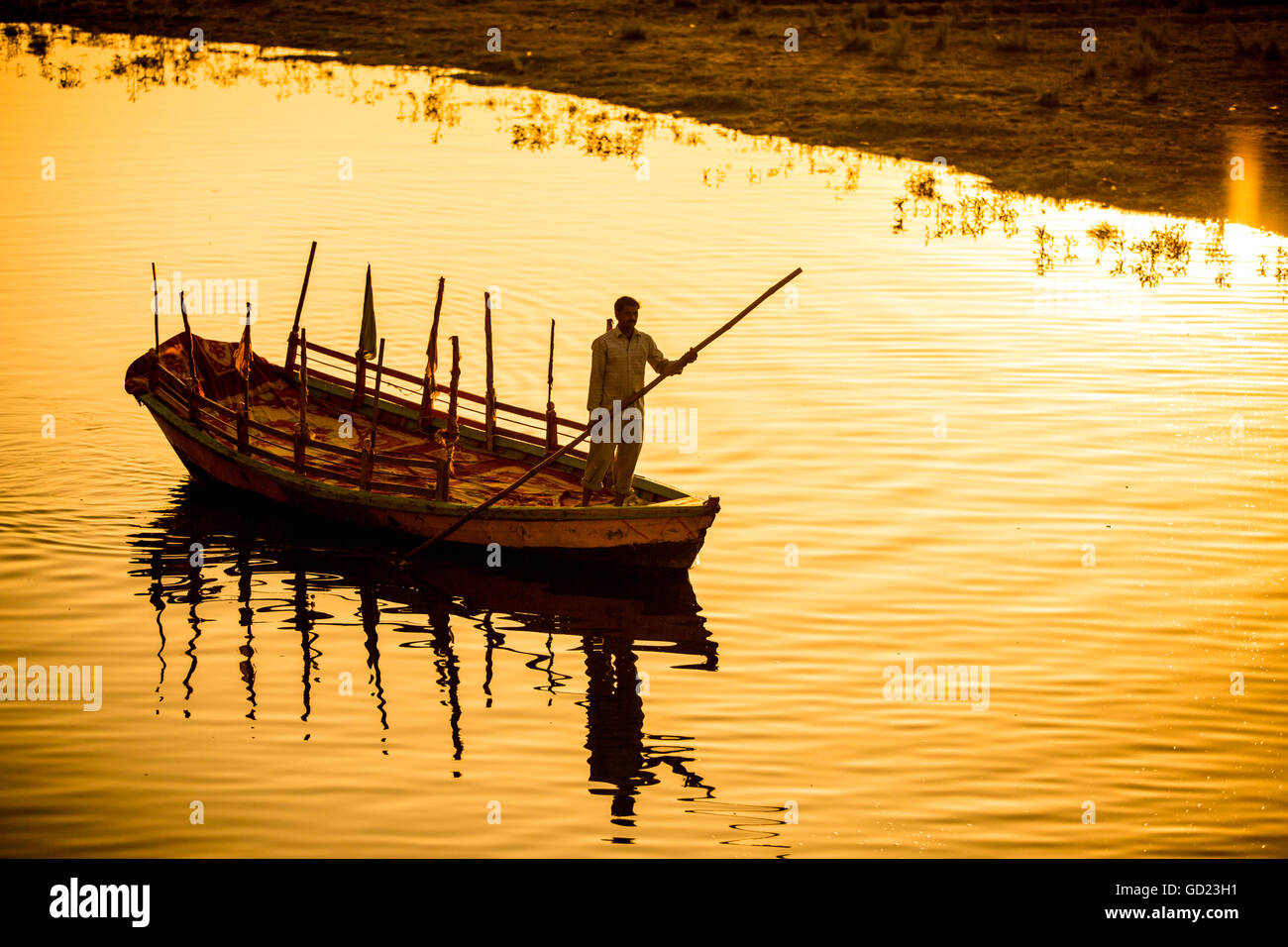 Silhouette di un gondoliere indiano durante il fiore Holi festival, Vrindavan, Uttar Pradesh, India, Asia Foto Stock
