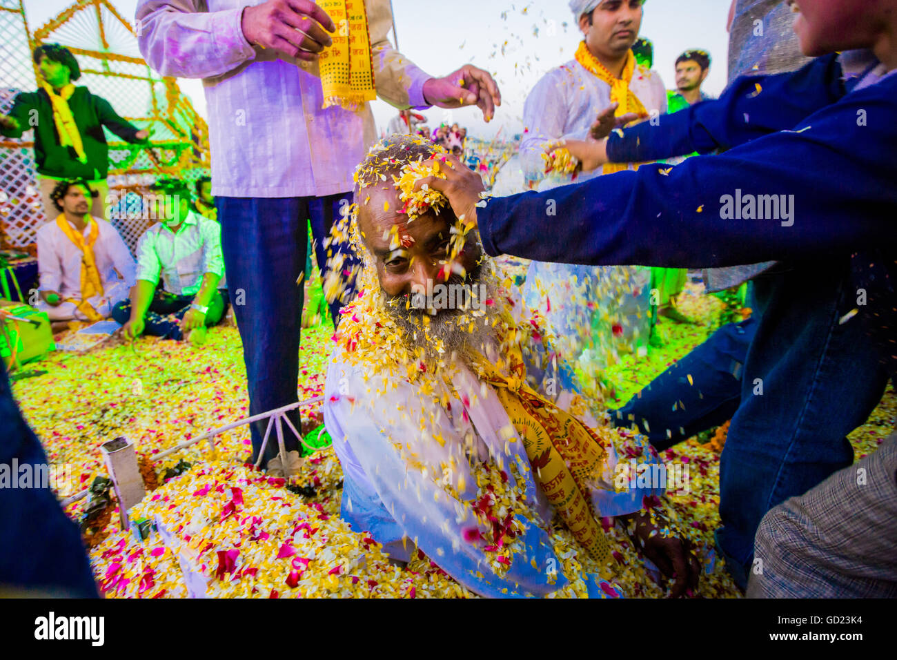 Il Guru getting petali di fiori gettati sul suo volto durante il fiore Holi festival, Vrindavan, Uttar Pradesh, India, Asia Foto Stock
