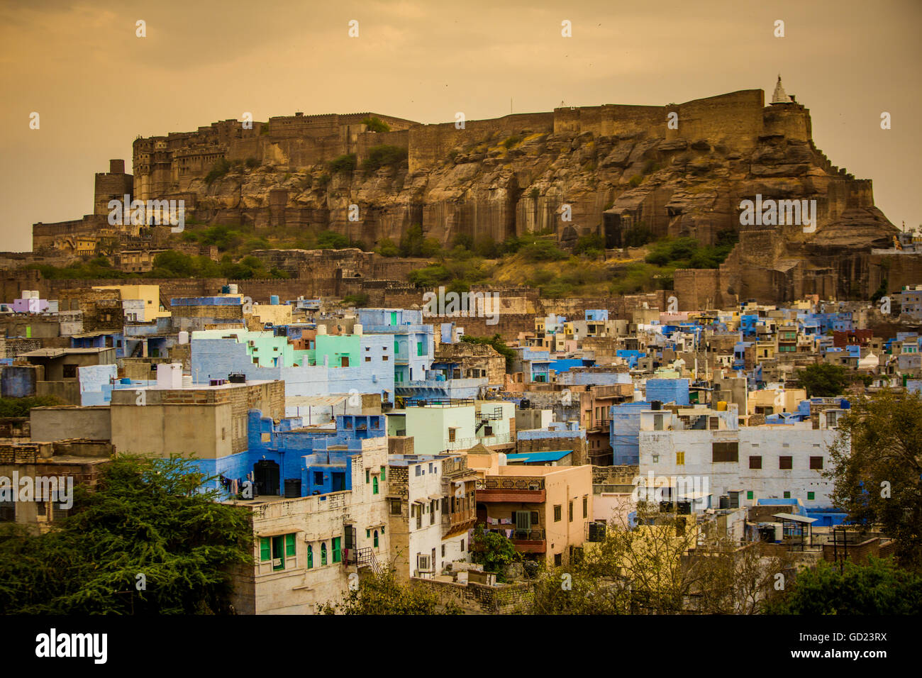 Forte Mehrangarh che domina i tetti blu a Jodhpur la città blu, Rajasthan, India, Asia Foto Stock